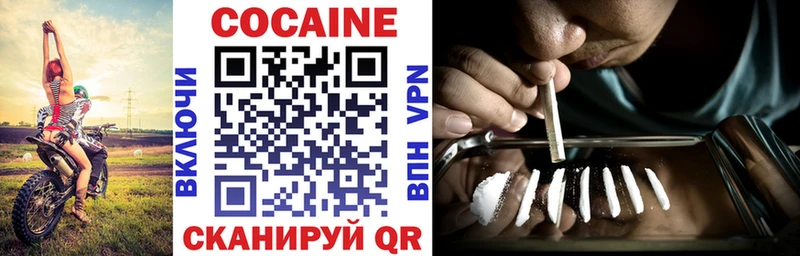 Купить закладки  Александровск-Сахалинский  КОКАИН Эквадор 