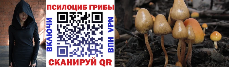 Купить закладки  Александровск-Сахалинский  Псилоцибиновые грибы мухоморы 